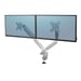 Braccio a doppio schermo Fellowes Platinum Series - Argento