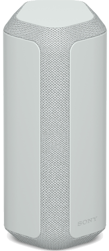 Sony SRS-XE300 Enceinte portable stéréo Gris