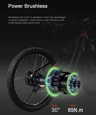 Vélo électrique pour adultes 1000 W Ebike 70 km d'autonomie 50 km/h vitesse maximale CST 27,5 x 2,4 VTT électrique 48 V 13,6 A batterie Ebike-noir