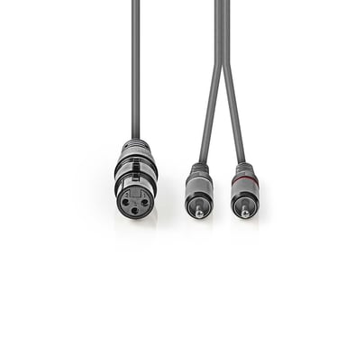 Nedis COTH15220GY30 câble audio 3 m XLR (3-pin) 2 x RCA Gris