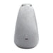JBL HORIZON-3 Reloj Gris