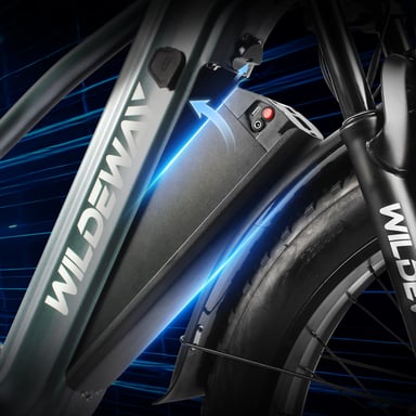 Bicicletta elettrica WILDEWAY Soared Pro per adulti, batteria rimovibile da 48 V 30 Ah, freni a disco idraulici - grigia
