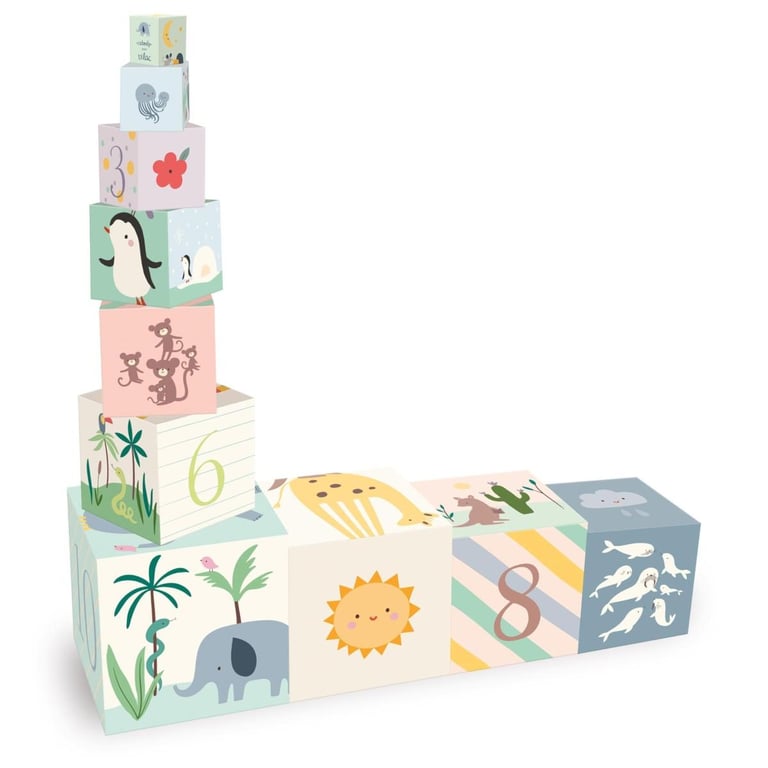 Vilac Cubes Gigognes 10 Pièces Multicolor Bois