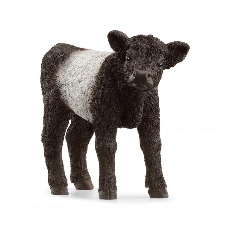 Veau Galloway en pelage bouclé Figurine Schleich Neuf