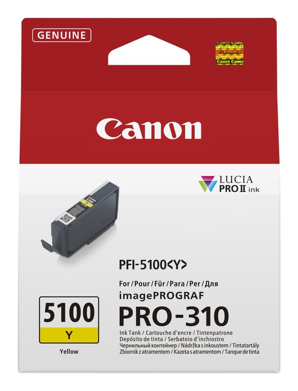 CANON PFI - vue 2