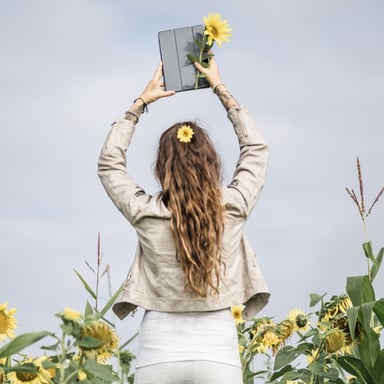 Hama Fold Clear 25,9 cm (10.2'') Folio Gris