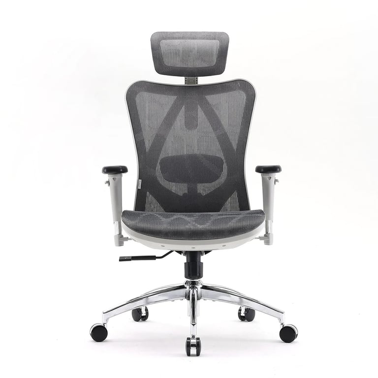 Sedia Da Ufficio Ergonomica SIHOO Doro C300 Pro - Supporto Lombare Auto Braccioli 5d Schienale In Rete Bianco 482993