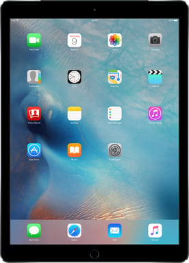 Apple iPad Pro 4G LTE 256 Go 32,8 cm (12,9'') Wi-Fi 5 (802.11ac) iOS Gris