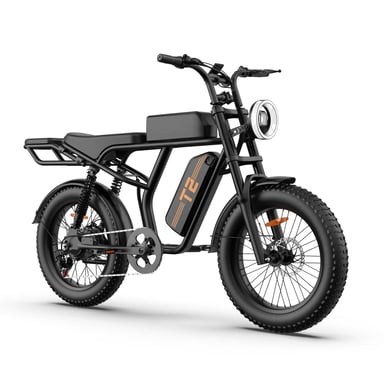 URLIFE T2 Vélo Électrique - Moteur 250W Batterie 48V 15.6Ah Pédalier assisté Freins à disque - NoirFreins à disque - Noir