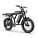 URLIFE T2 Vélo Électrique - Moteur 250W Batterie 48V 15.6Ah Pédalier assisté Freins à disque - NoirFreins à disque - Noir