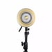 Illuminazione ZHIYUN MOLUS B 200