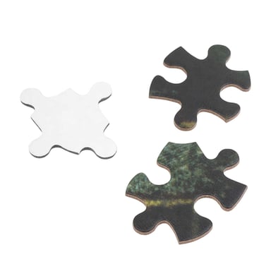 Harry Potter Puzzle 500 piezas Harry Potter y la Cámara de los Secretos en Tubo Decorativo Multicolor