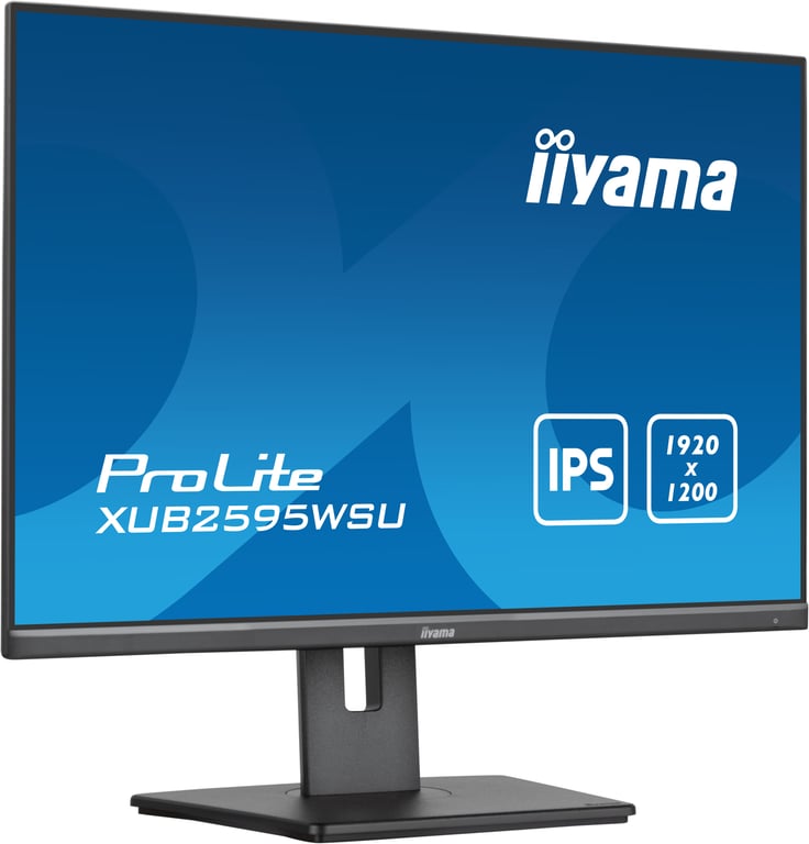 iiyama 25 LED ProLite XUB2595WSU B5 - vue 2