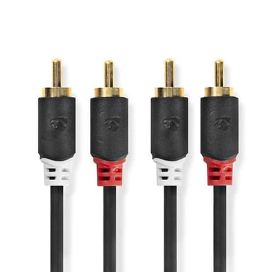 Nedis CABW24200AT10 cable de audio 1 m 2 x RCA Antracita
