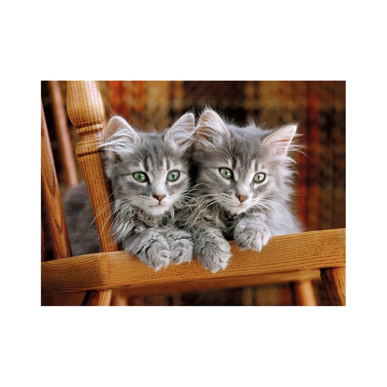 Puzzle 500 pièces : Chaton et lapin Clementoni Puzzles - vue 5