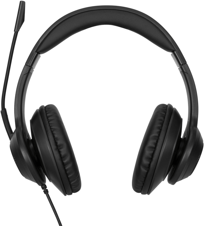 Targus AEH102GL écouteur/casque Avec fil Arceau Appels/Musique USB Type-A Noir