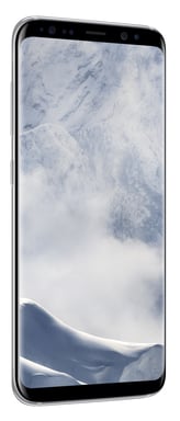 Galaxy S8 64 Go, Argent
