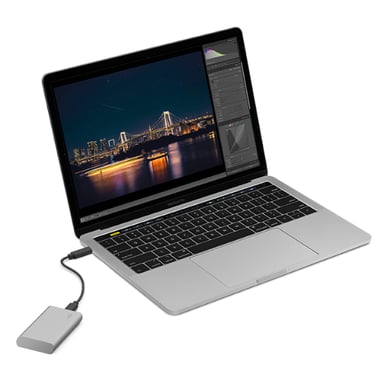 LaCie STKS1000400 lecteur à circuits intégrés externe Technologie Thunderbolt 1 To USB Type-C 3.2 Gen 2 (3.1 Gen 2) Argent