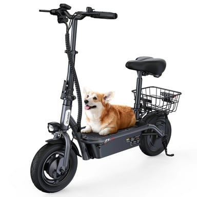 Scooter Eléctrico F3 | Motor 1000W | Batería 48V 13Ah | Neumáticos de 10 Pulgadas| Velocidad Máx 45 km/h | Autonomía 55-60 km | Gris