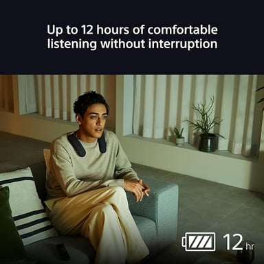 SONY Modello del prodotto : BRAVIA Theatre U