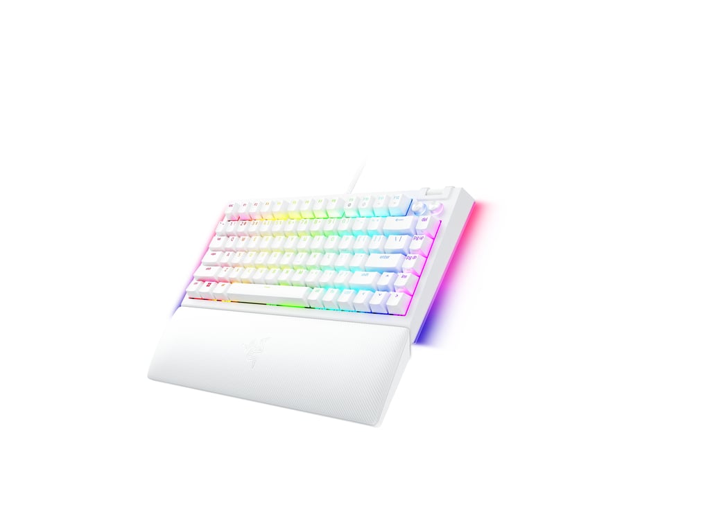 Razer BlackWidow V4 Pro clavier Jouer USB QWERTY US International Neuf - vue 3