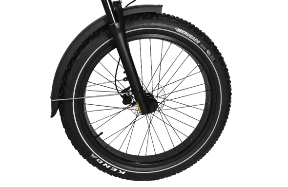 Zebra - Vélo Fat Bike électrique reconditionné
