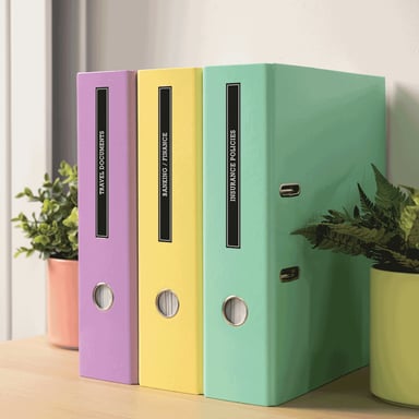 Brother PT-N25BT - Etichettatrice portatile Bluetooth per casa e ufficio