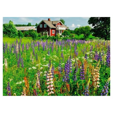 Puzzle de 500 piezas: Granja en Suecia para horas de diversión