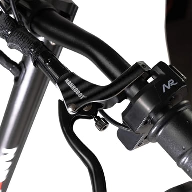 Patinete eléctrico Nanrobot D6+ 2.0 para adultos - Motor dual de 2000 W, batería de 52 V y 26 AH