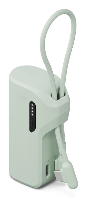 Cygnett CY5355PBCHE banque d'alimentation électrique 5000 mAh Neuf
