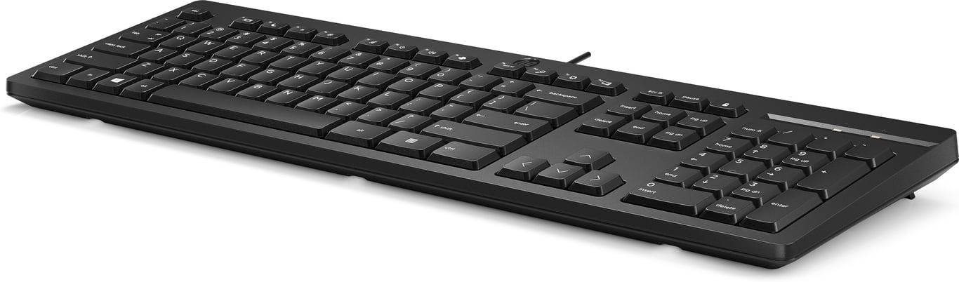 HP HP Wired Keyboard 125 Neuf - vue 2
