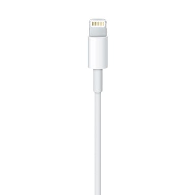 Apple MD818ZM/A Cable Lightning de 1 m Blanco