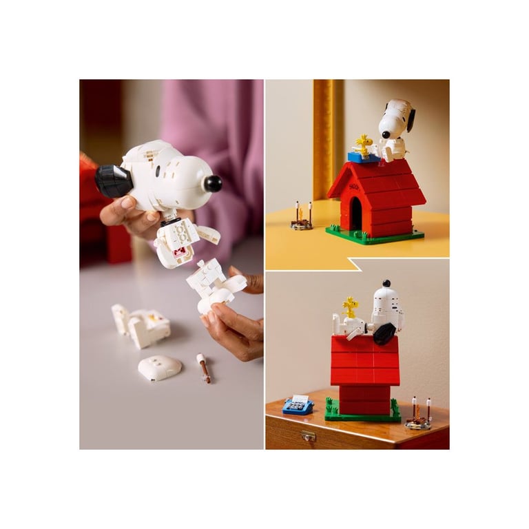 Peanuts: la niche de Snoopy - vue 8
