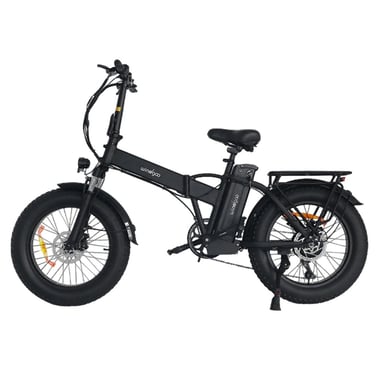 Windgoo F21 Pro Vélo Électrique - Moteur 250W Batterie 48V 12.5Ah 20x4.0 Pouces Pneus - Noir