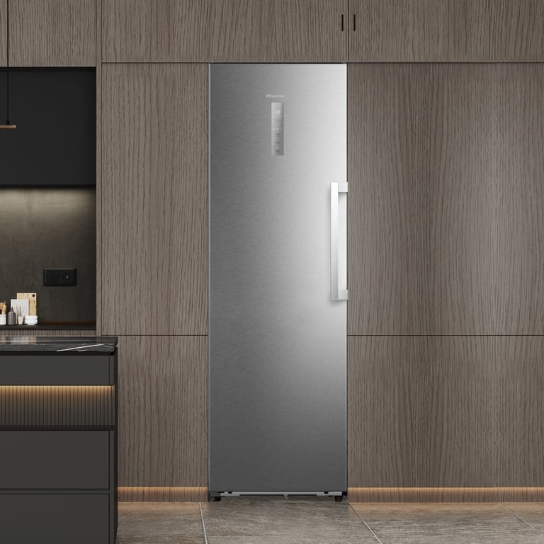 Congélateur Hisense FT3K310SAIE1 312 Classe E Acier Inoxydable - vue 3