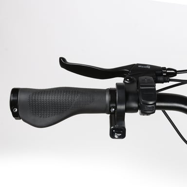 Samebike RS-A01 Plus Bici elettrica Motore da 750 W Batteria da 48 V 14 Ah 26*3.0 pollici Pneumatici Fat Step-thru City Commuter Ebike