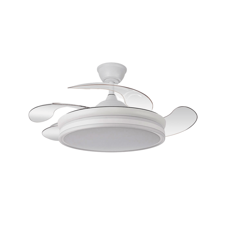 FAB 142591401 - vue 2