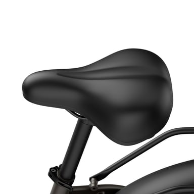 Bicicletta elettrica FAFREES F26 ROVER con batteria da 48 V 20 Ah e motore da 250 W - grigia