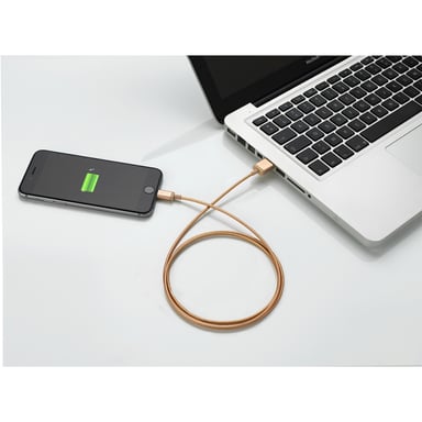 PNY USB A/Lightning 1.2 m 1,2 m Oro, Metálico