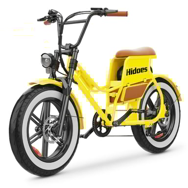 Bici elettrica per adulti Hidoes C8 20'' Fat Tire Step Through City EBike 700W 48V 17Ah