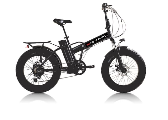 Bici Fat a pedalata assistita, ammortizzata, batteria 10Ah