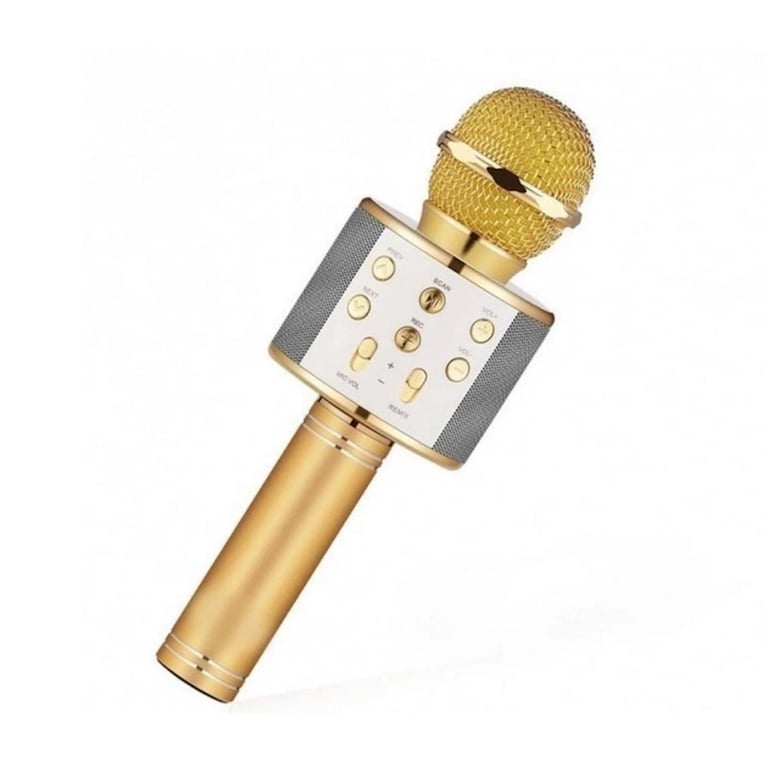 Riff WS 858 Microphone karaoké avec haut parleurs AUX et Micro SD Or Neuf