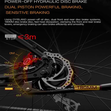 Bici elettrica LANKELEISI MG740PLUS Doppio motore 2000W 26 pollici 48V 20AH