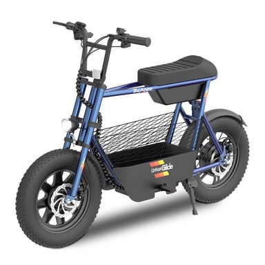 Draisienne Électrique Adulte Thunder 160 – Moteur 1100W - Autonomie Jusqu'a 30 km - Pneu 16'' FATBIKE - Batterie 42V/7,8Ah - Poids 28Kg