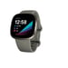 Fitbit Versa Sense Sage Grey Silver AMOLED Digital Pantalla táctil Gris Wifi GPS (satélite)