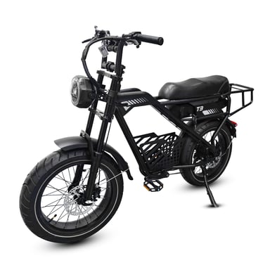 Bicicleta de carga eléctrica AVDL T3, batería extraíble de 48 V y 18 Ah, doble amortiguador y frenos de disco hidráulicos