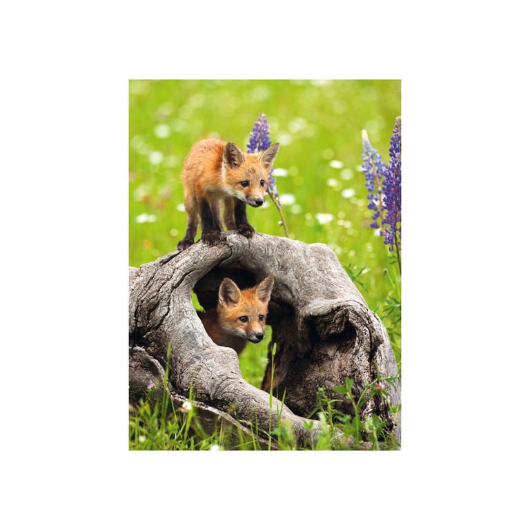 Puzzle 300 pièces : Mignons renards Ravensburger France - vue 4