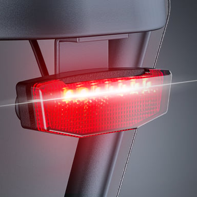 Bicicleta eléctrica de carga ENGWE LE20 de 250 W con sensor de par y transmisión central, 20'', con batería de 48 V y 19,2 Ah-Gris