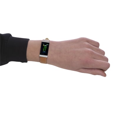 Denver BFH-250 Pulsera de actividad 2,44 cm (0.96'') IP68 Marrón, Plata