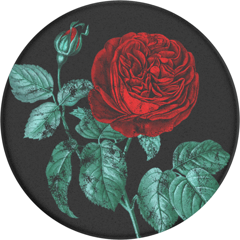 PopSockets Grip Midnight Rose colourful